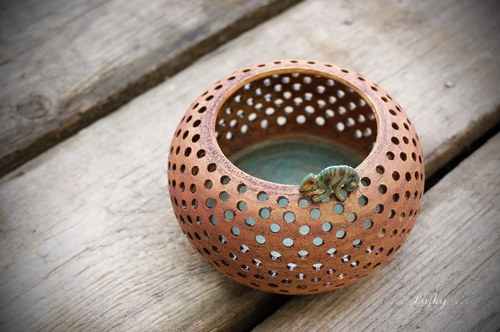 A kdepak bydlí chameleonek...? — foto 1