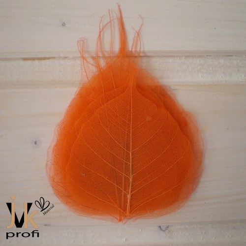 Skelet list - oranžový — foto 1
