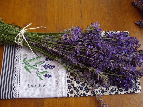 Levandule — foto 1