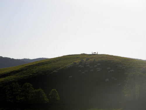 Indiánské léto .. Lánský vrch — foto 1