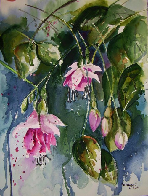 Fuchsia2 — foto 1