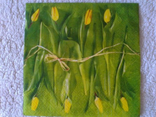 Ubrousek TULIPÁNY 2