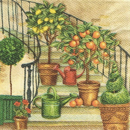 ZA 012 - ubrousek 33x33 - zátiší na schodech