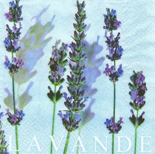 BY 021 - ubrousek 33x33 - LEVANDE