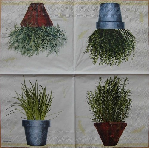 BY 002 - ubrousek 33x33 - rosmarinus
