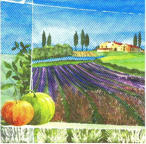 BY 059 - ubrousek 33X33 - levand.pole