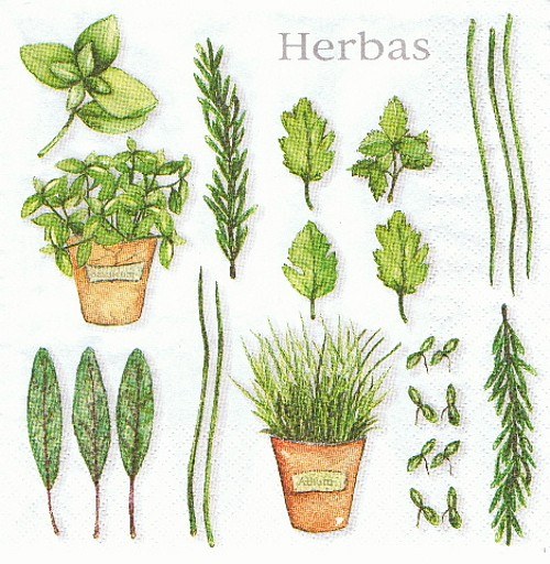 BY 065 - ubrousek 33X33 - herbas