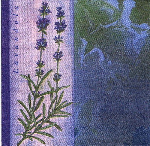 BY 068 - ubrousek 33x33 - levandula tm.