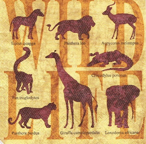 ZV 020 - ubrousek 33x33 - wild life