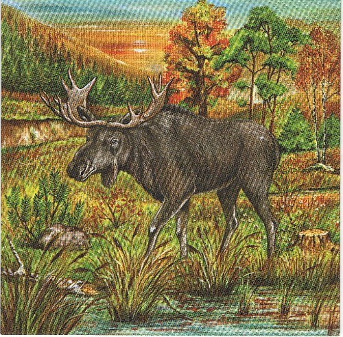 ZV 028 - ubrousek 33x33 -sob — foto 1
