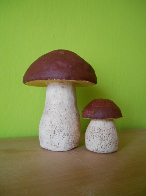 Hříbek s miminkem — foto 1