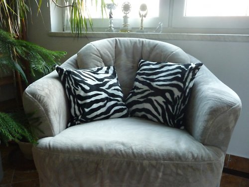Zebra + dárek — foto 1