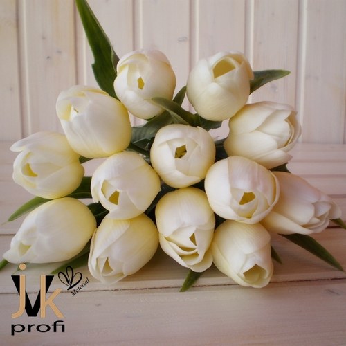 Tulipán - žluto-bílý — foto 1