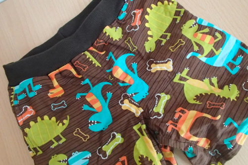 Dinosauří kraťasy — foto 1