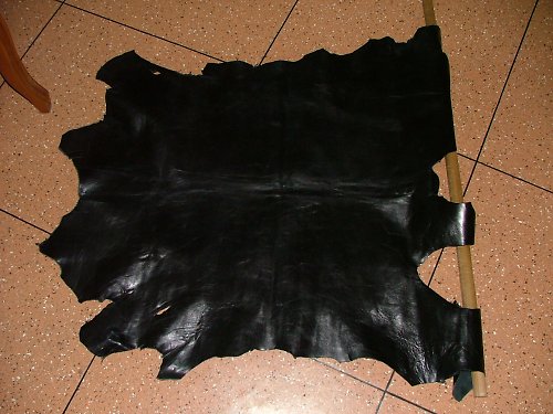 Kůže — foto 1