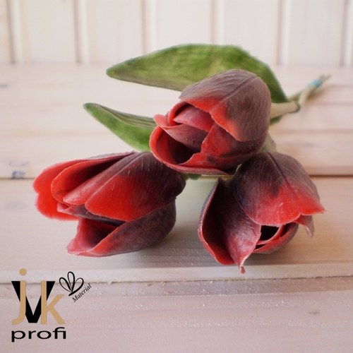 Tulipán - bordó-červený — foto 1