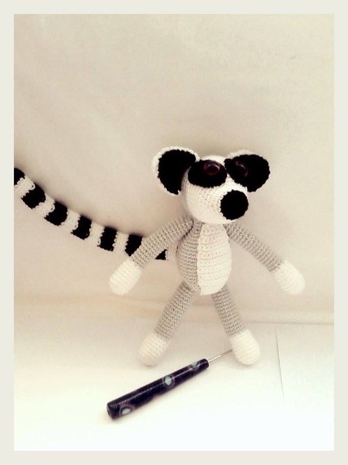 Návod na lemura