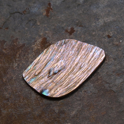 Paua mušle 28 x 19 mm — foto 1