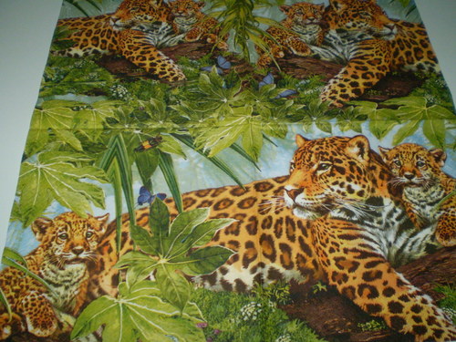 Gepard — foto 1