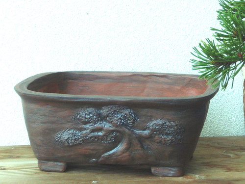 Bonsai miska tmavá — foto 1