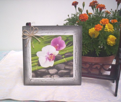 Orchideje