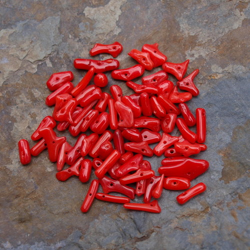 Korál, větvičky, 10g — foto 1