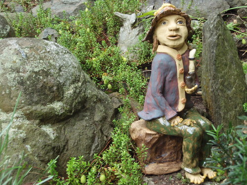 Vodníček na skále — foto 1