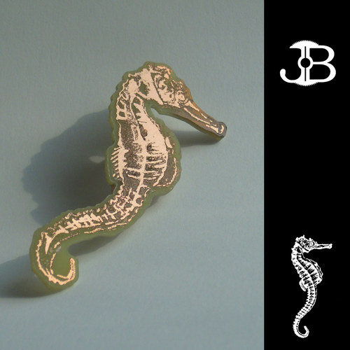 Seahorse — foto 1
