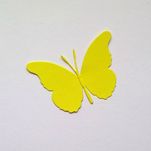 Výsek - Motýl jednoduchý