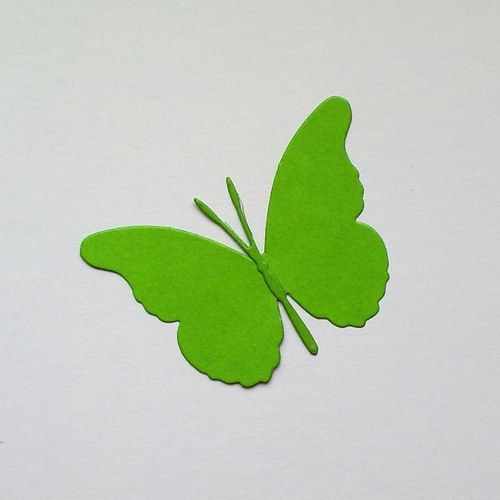 Výsek - Motýl jednoduchý