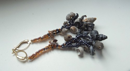 Black sea shells — foto 1