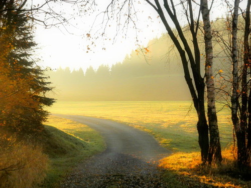 Podzimní cesta .. osvícení — foto 1