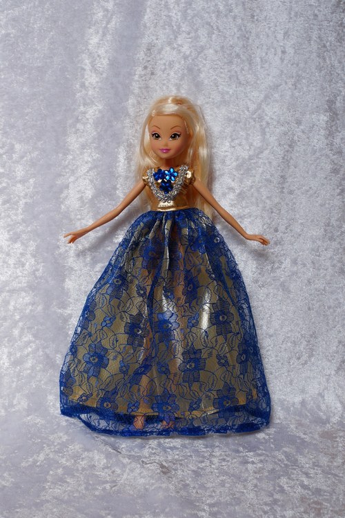 Winx je princeznou — foto 1