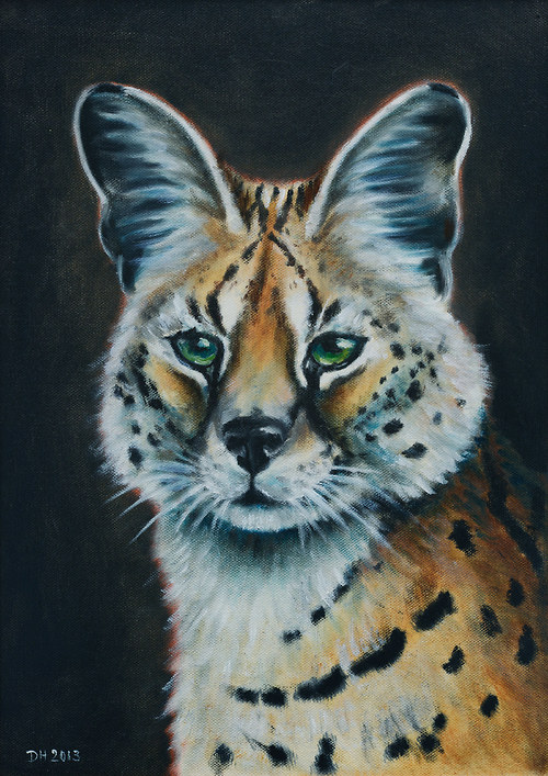 Serval - autorský arch — foto 1