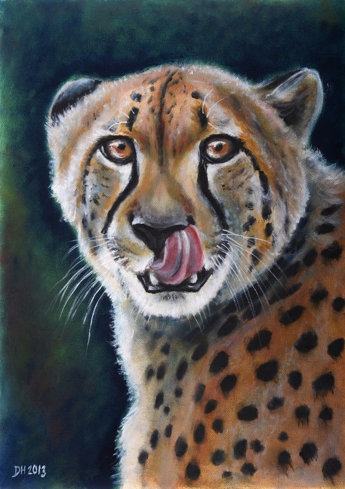 Gepard olizující se -autorský arch