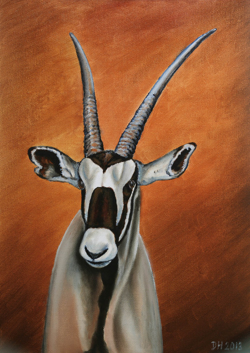 Oryx jihoafrický - autorský arch