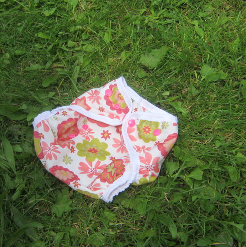 Svrchňáčky jednovelikostní — foto 1