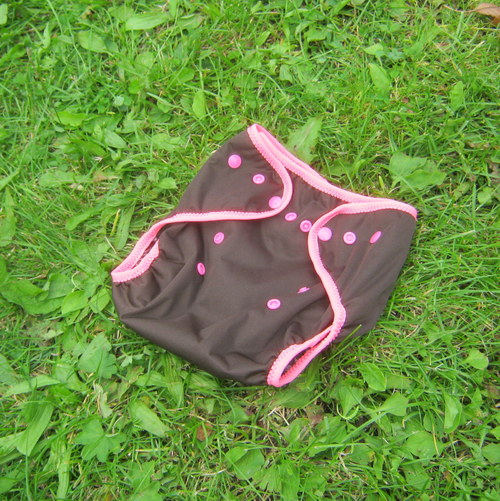 Svrchňáčky jednovelikostní — foto 1