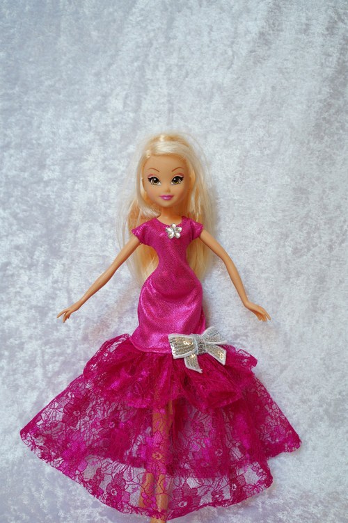 Winx je princeznou — foto 1