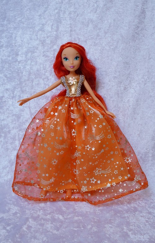Winx je princeznou — foto 1