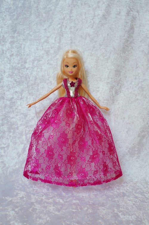 Winx je princeznou — foto 1