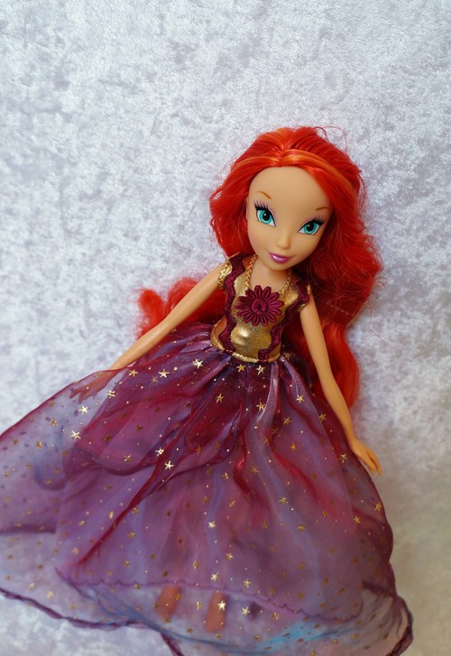 Winx je princeznou — foto 1