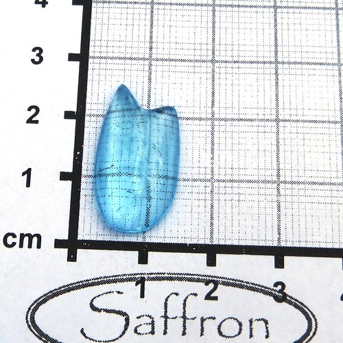 Modrý Topaz č.5- tulipán — foto 1
