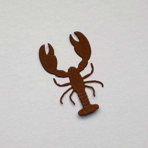 Výsek - Humr oceánský