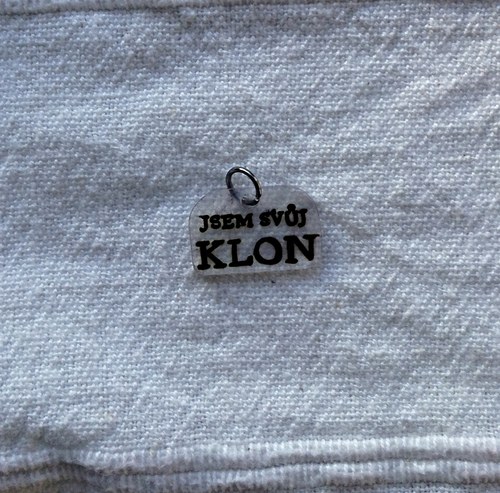 Jsem svůj klon — foto 1