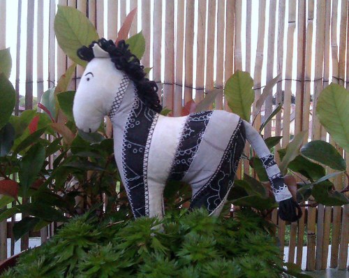 Zebra Patchworkářka — foto 1