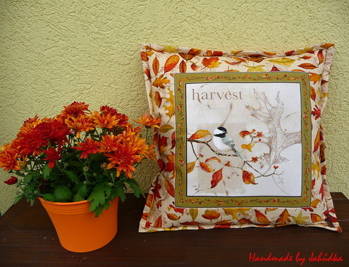 Harvest/sklizeň — foto 1