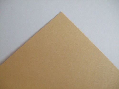 Karton - chamois 300g