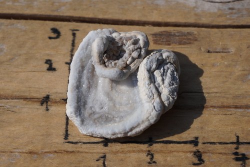 Hadí achát - chalcedonová růže B2782 — foto 1