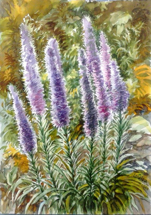 Šuškarda - akvarel 30x40 cm